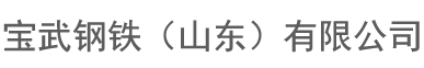 宝武钢铁（山东）有限公司